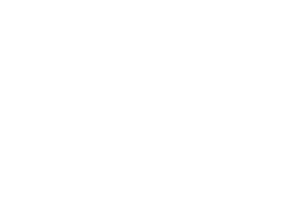 СИСТЕМА ДОСТАВКИ