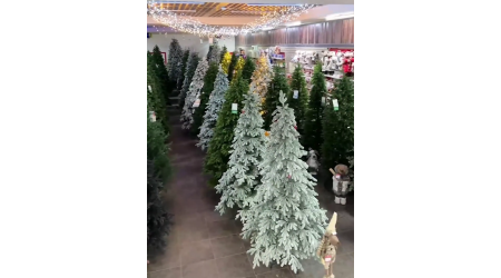 Выбираем главное украшение праздника