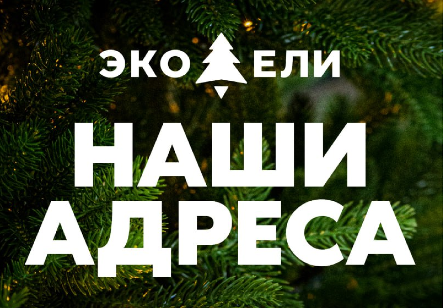 Три удобных адреса для вашего идеального праздника!