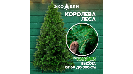 Королева Леса — величественная красота природы в вашем доме!