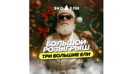 БОЛЬШОЙ РОЗЫГРЫШ ЭКО-ЕЛИ — выиграйте роскошную ёлку!