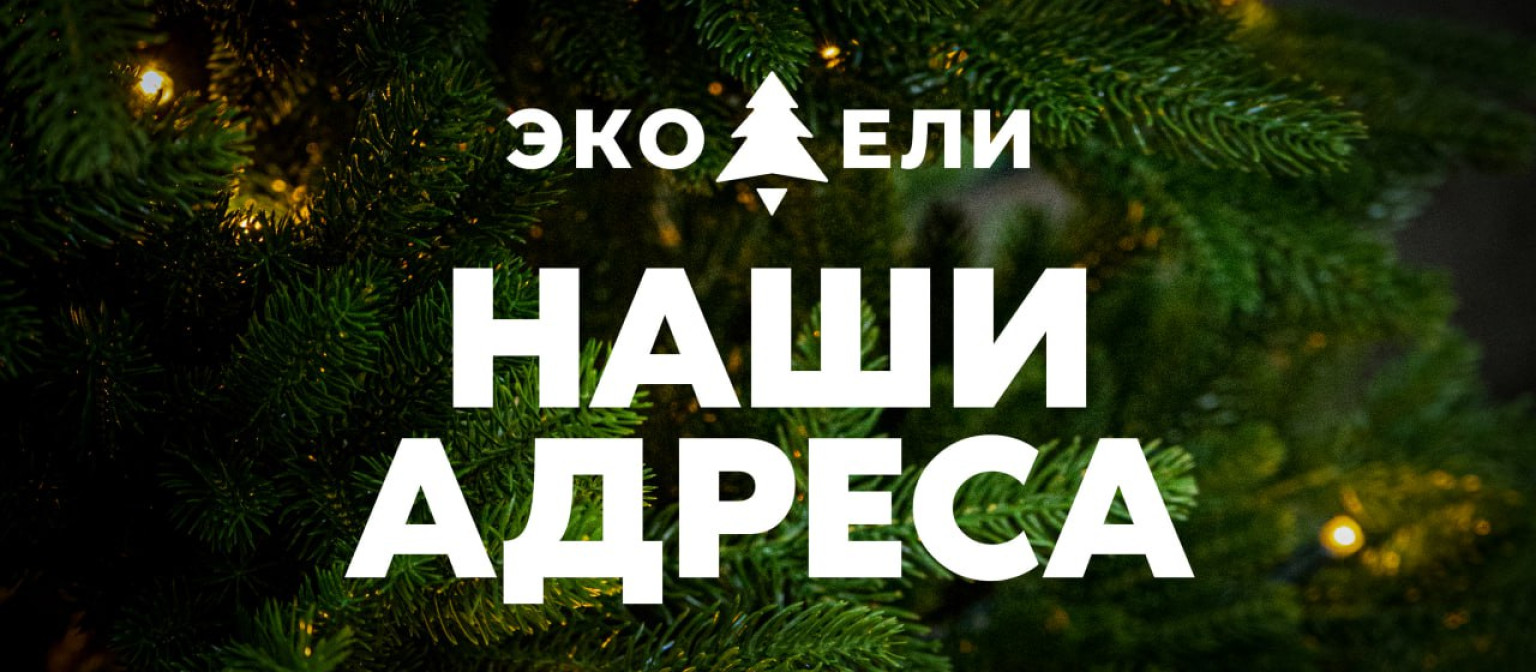 Три удобных адреса для вашего идеального праздника!