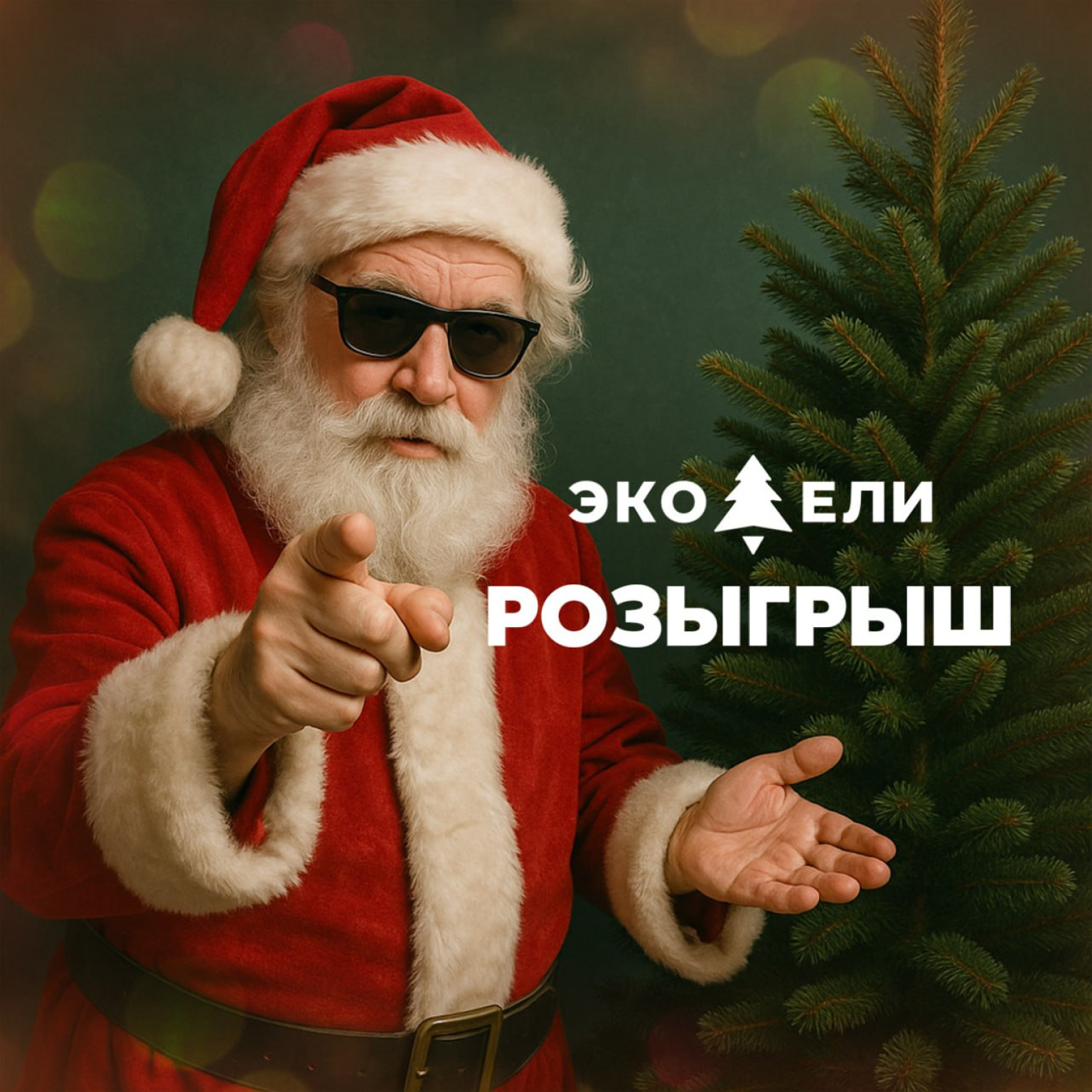 Грандиозный розыгрыш премиум-ели от ЭКО-ЕЛИ: выиграй роскошную красавицу к Новому году!