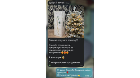 Победители ЭКО-ЕЛИ уже украшают дома – участвуйте в новом розыгрыше прямо сейчас!
