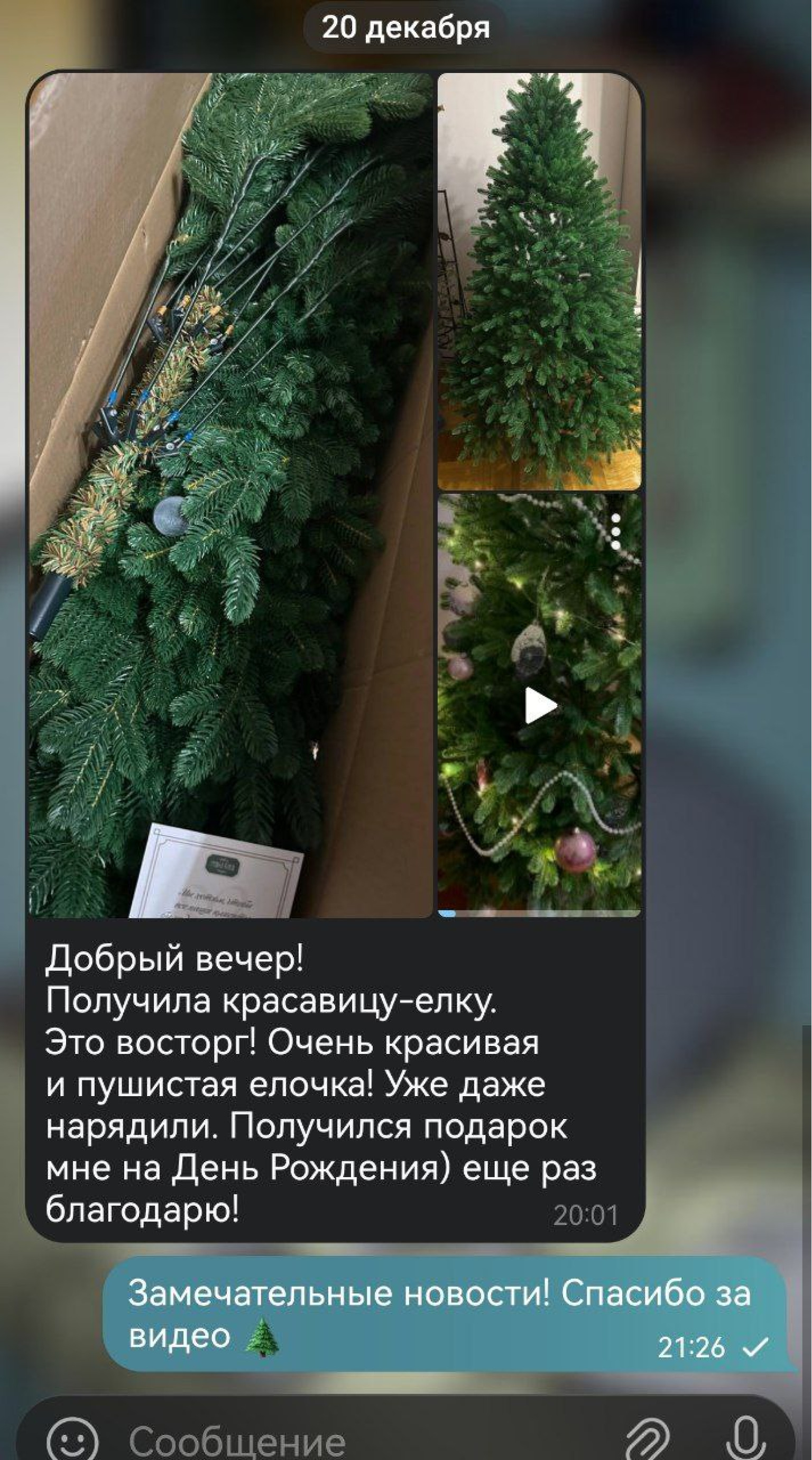 Новая победительница получила свою ёлку — участвуй в следующем розыгрыше!