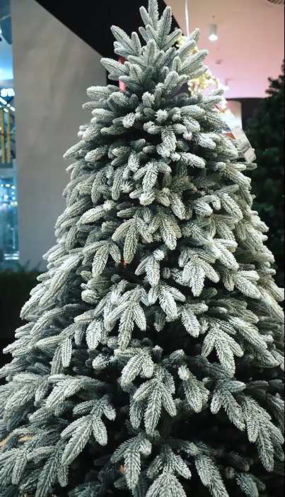 Романовская заснеженная — королева зимнего праздника