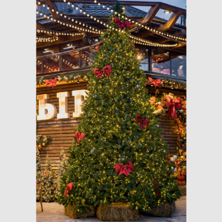 Всесезонное оформление летних площадок уличными елками