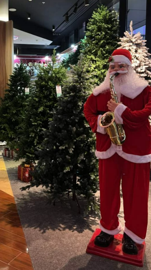 Декор для ботанических садов и оранжерей: как создать новогоднее волшебство среди живых растений