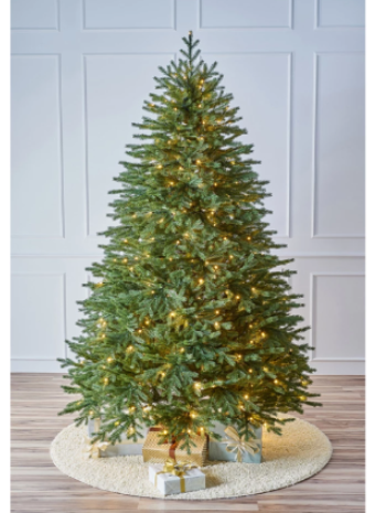 Виды новогодних елок: выбираем идеальное дерево для праздника