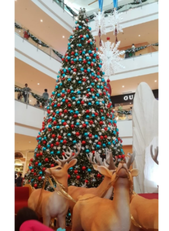  Царь елка Аврора: величественная красота для вашего дома