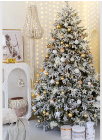 Где купить елку в последний момент: лайфхаки для занятых