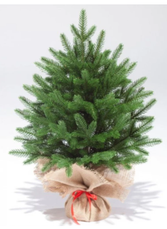 Елка искусственная для маленькой квартиры: компактные модели