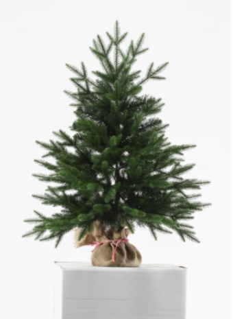 Купить елку гипоаллергенную: решение для аллергиков