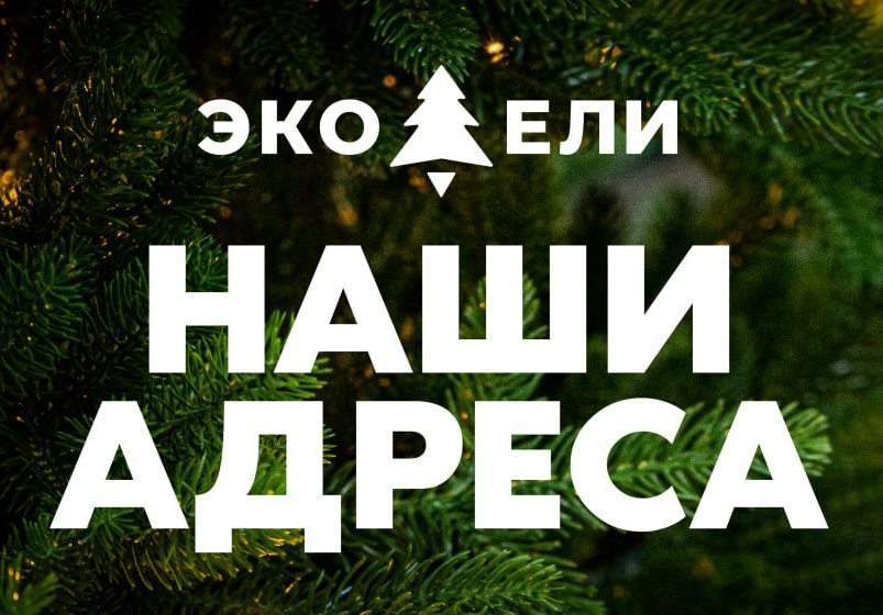 Три удобных адреса для вашего идеального праздника!