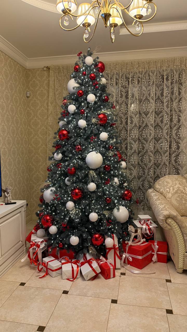 Голубая ель – аристократичная красота в новогоднем интерьере