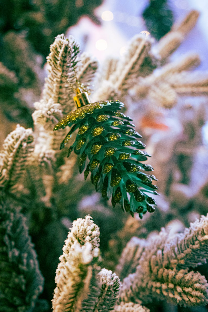 Магазин ЭКО-ЕЛИ в ТРК «Горизонт»: атмосфера новогоднего волшебства ждёт вас!