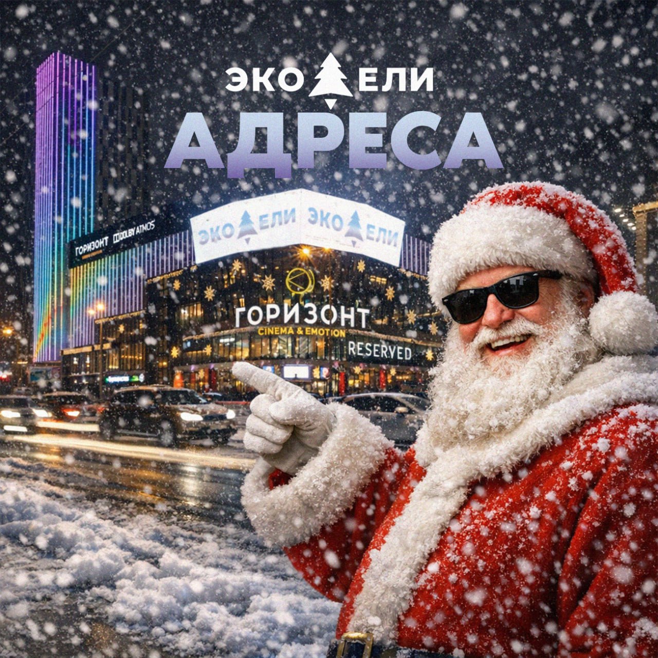 Последние выходные года — успей выбрать свою ёлку!