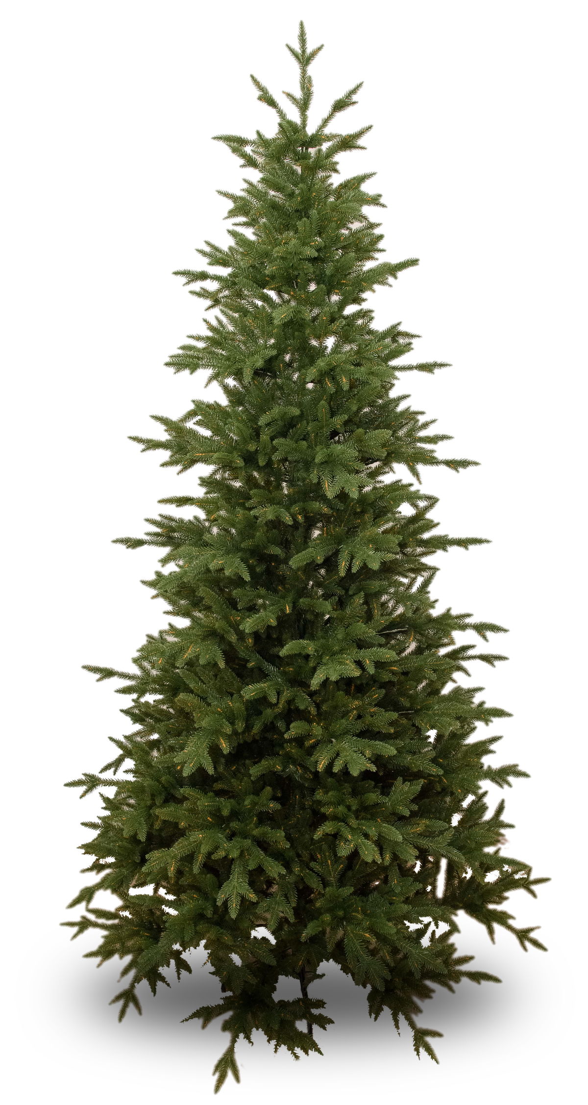 Елка искусственная литая Карелия 185см